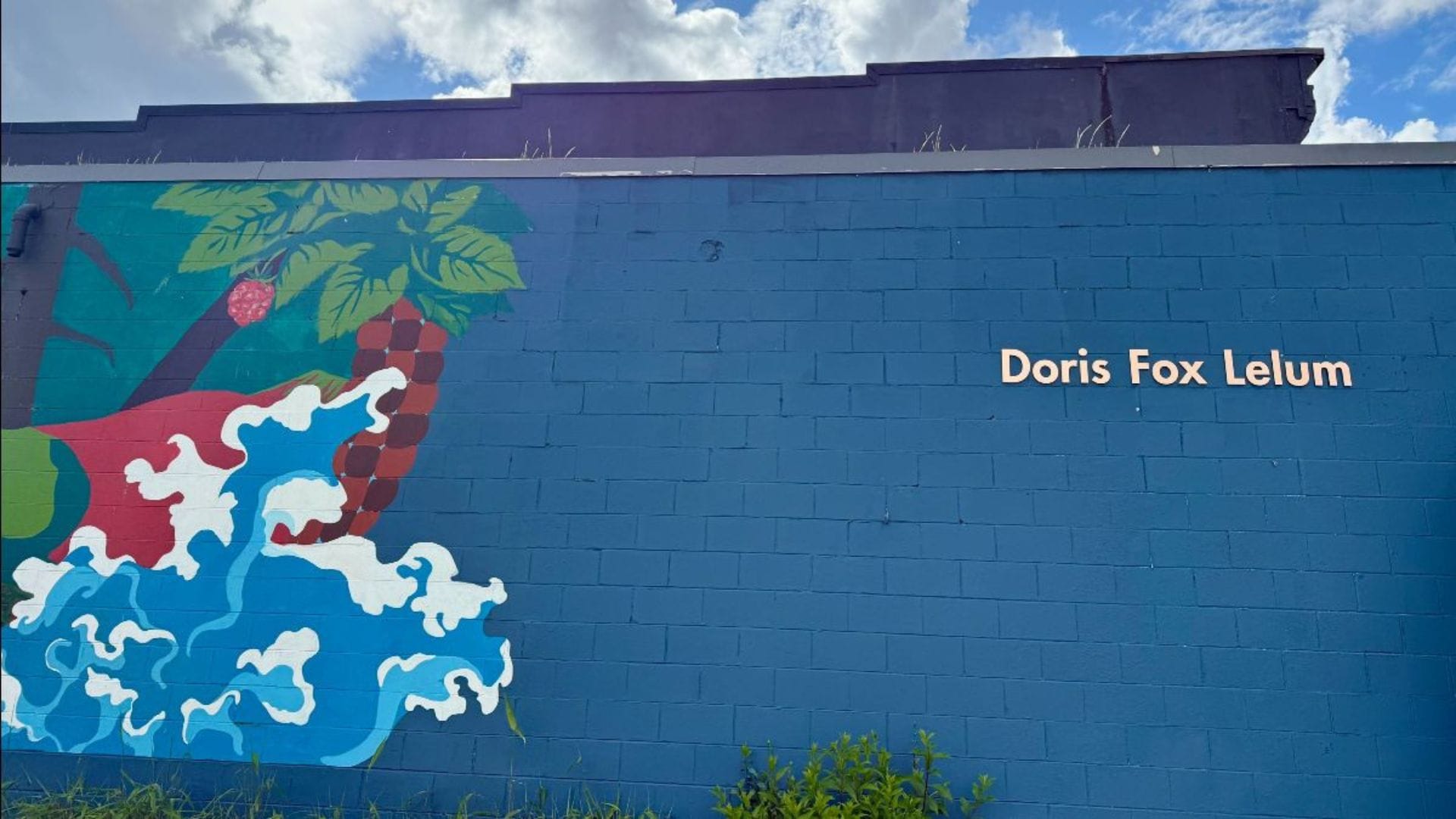Doris Fox Lelum